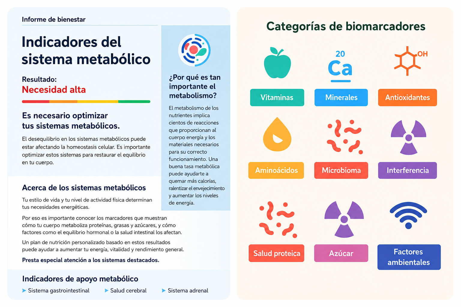 Información relevante sobre optimización epigenética, áreas evaluadas y precio de 299 euros